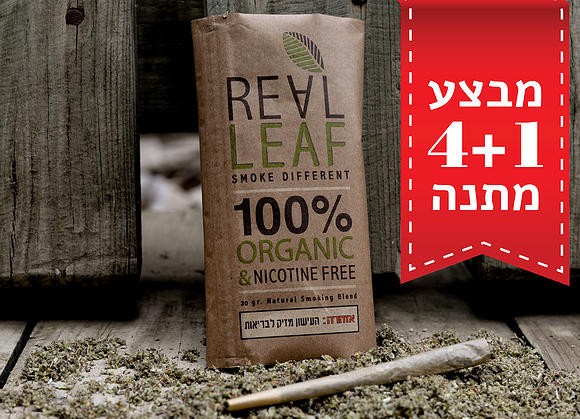 תמונה ללא תיאור
